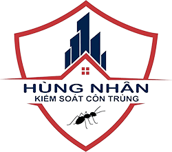 Diệt Mối Phương Nam – Dịch Vụ Diệt Mối & Côn Trùng Tận Gốc