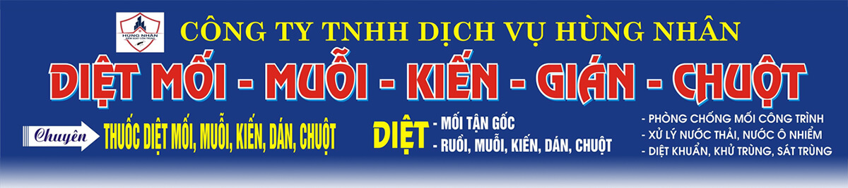 Diệt Mối Phương Nam – Dịch Vụ Diệt Mối & Côn Trùng Tận Gốc