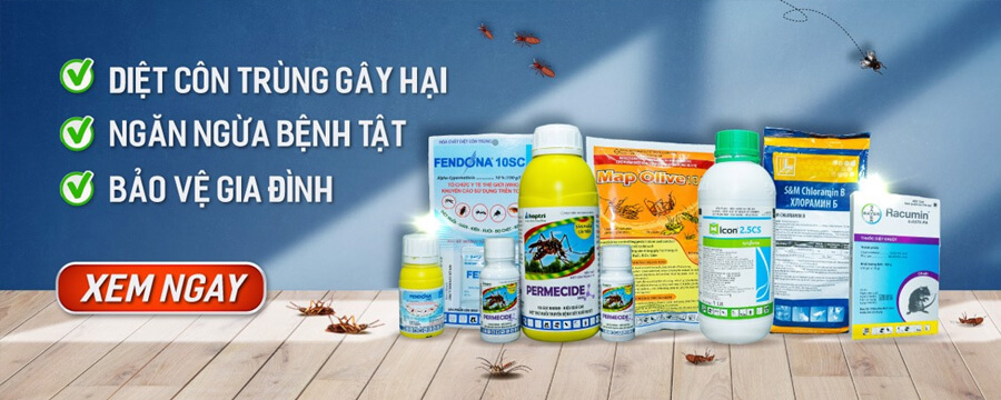 Diệt Mối Phương Nam – Dịch Vụ Diệt Mối & Côn Trùng Tận Gốc