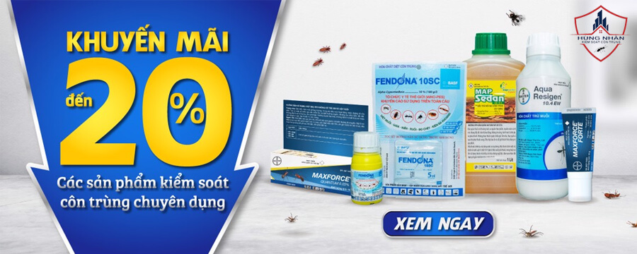 Diệt Mối Phương Nam – Dịch Vụ Diệt Mối & Côn Trùng Tận Gốc