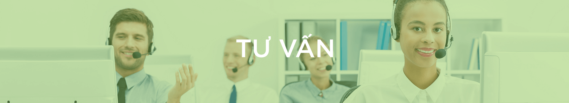 Diệt Mối Phương Nam – Dịch Vụ Diệt Mối & Côn Trùng Tận Gốc