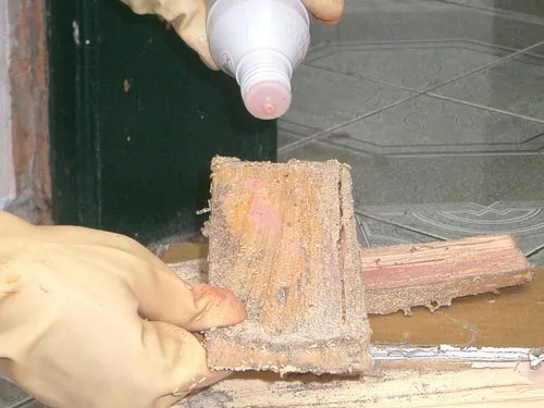 Diệt mối bằng hóa sinh Diệt mối bằng hóa sinh