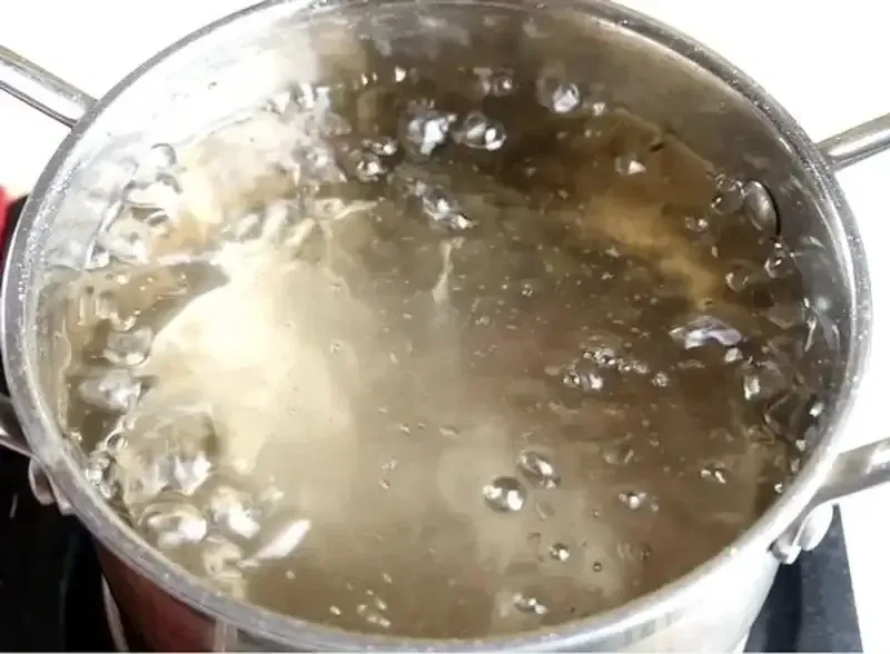 Sử dụng nước đường trong việc bẫy ruồi đục quả Sử dụng nước đường trong việc bẫy ruồi đục quả