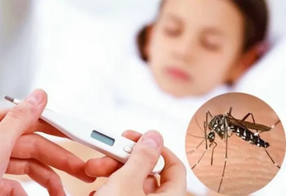 Phòng Sốt Xuất Huyết: Hành Trang Cho Sức Khỏe Mùa Dịch Phòng Sốt Xuất Huyết: Hành Trang Cho Sức Khỏe Mùa Dịch