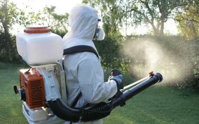 Phun Muỗi Phòng Dịch Bệnh: Giải Pháp Ngăn Ngừa Hiệu Quả