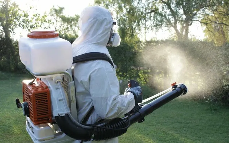 Phun Muỗi Phòng Dịch Bệnh: Giải Pháp Ngăn Ngừa Hiệu Quả