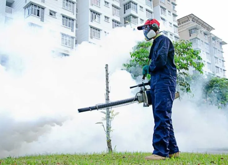 Dịch Vụ Diệt Ruồi Hiệu Quả – Loại Bỏ Ruồi Nhanh Chóng, An Toàn