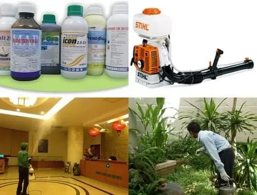 Diệt mối bằng phương pháp sinh học