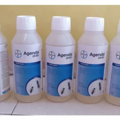 Bán thuốc diệt mối Vũng Tàu uy tín – Agenda, Mythic Bán thuốc diệt mối Vũng Tàu uy tín – Agenda, Mythic