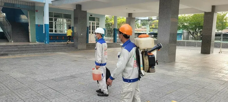 Dịch vụ diệt mối chuyên nghiệp tại Bà Rịa Vũng Tàu