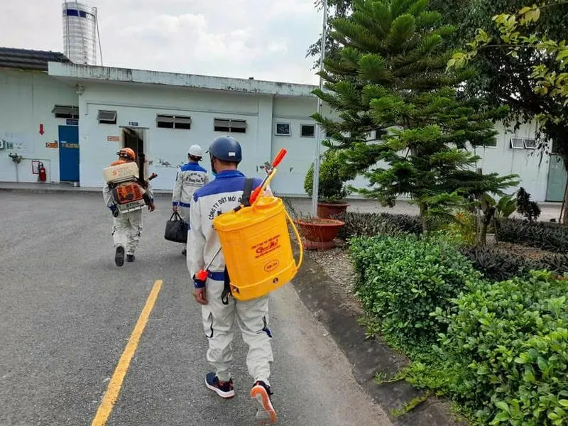 Kỹ thuật viên diệt mối tại Phú Mỹ – Công ty Phương Nam