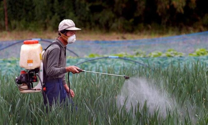 Diệt Côn Trùng Gây Hại Chuyên Nghiệp, An Toàn Cho Mọi Không Gian