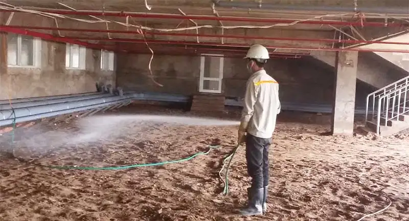 Bảo vệ công trình với phun thuốc chống mối Bảo vệ công trình với phun thuốc chống mối