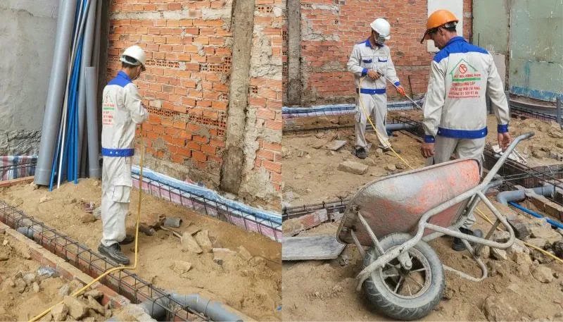 Công ty chống mối chuyên nghiệp kiểm tra nhà ở