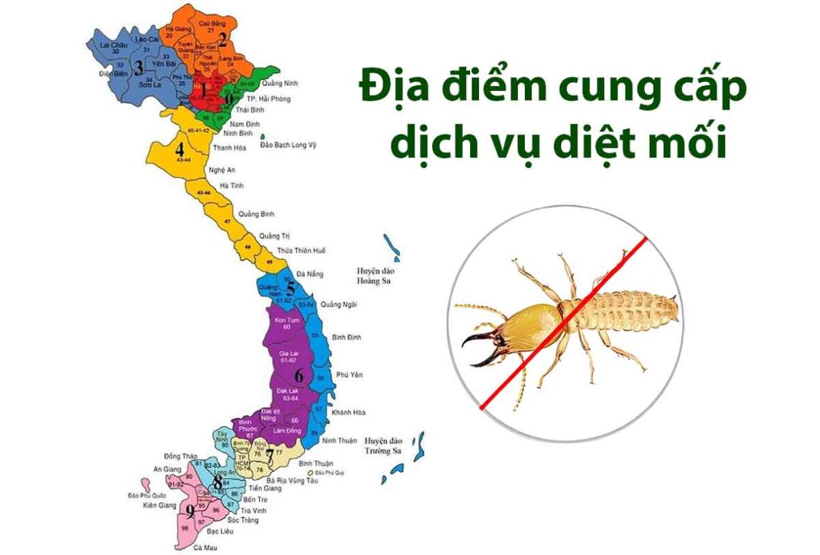 Nhưng địa điểm, khu vực phục vụ của Diệt Mối Phương Nam Nhưng địa điểm, khu vực phục vụ của Diệt Mối Phương Nam