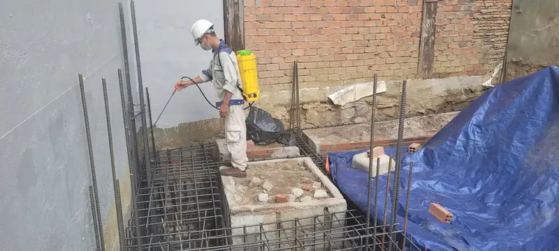 Phòng Chống Mối: Giải Pháp Hiệu Quả Bảo Vệ Ngôi Nhà Bạn