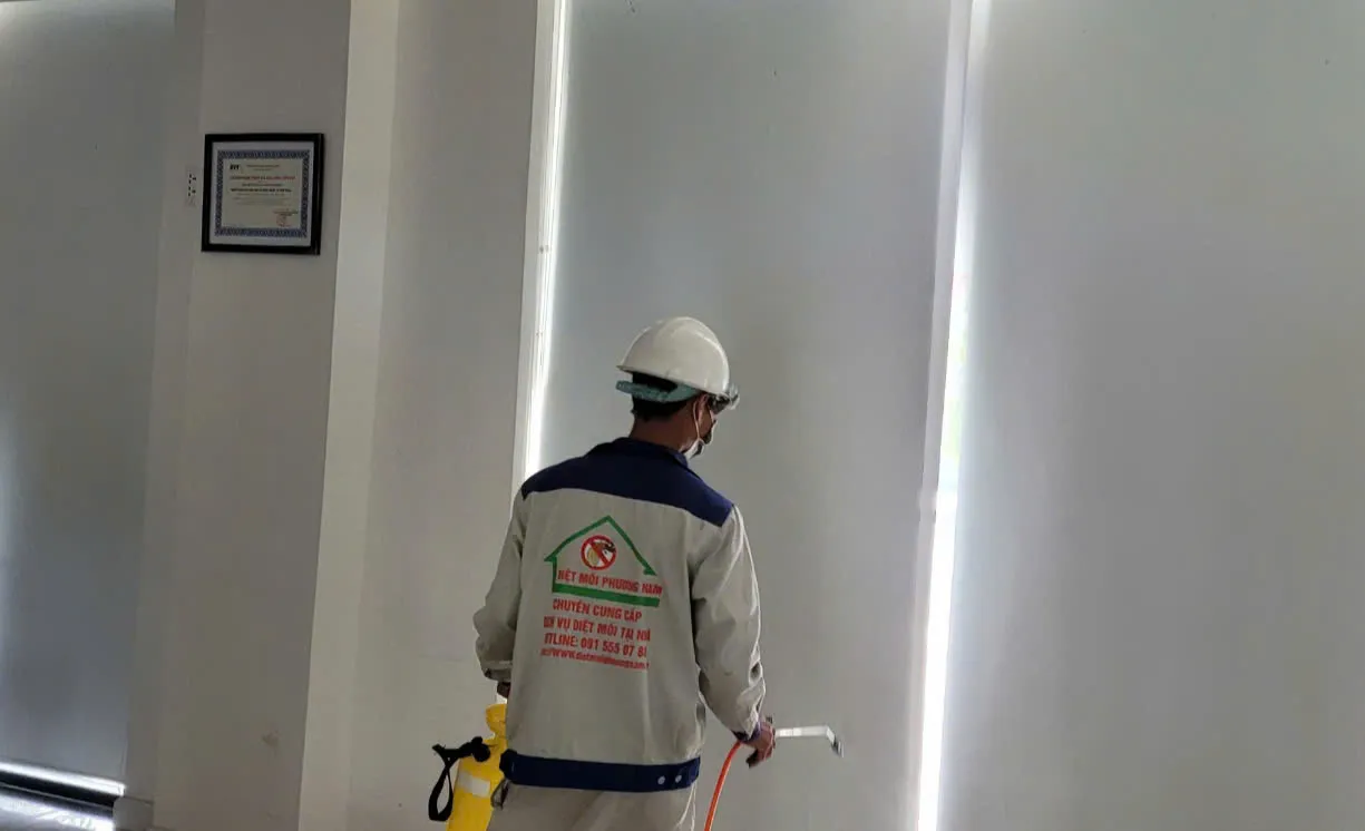 Dịch vụ diệt mối tận gốc tại Đồng Nai Dịch vụ diệt mối tận gốc tại Đồng Nai