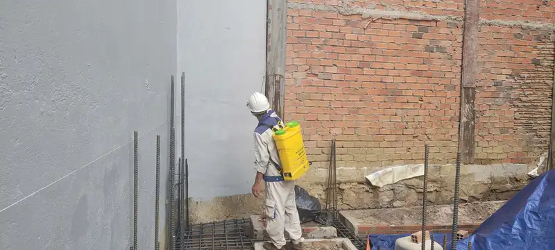 Dịch vụ xử lý mối chuyên nghiệp Dịch vụ xử lý mối chuyên nghiệp