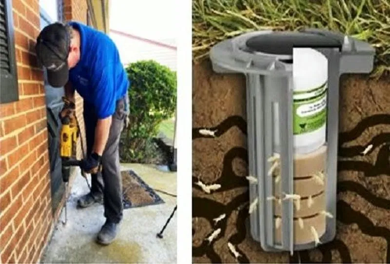 Công nghệ diệt mối hiện đại tại Đồng Nai Công nghệ diệt mối hiện đại tại Đồng Nai