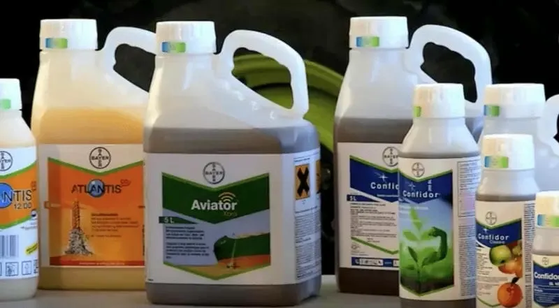 Diệt mối bằng hóa chất chuyên nghiệp tại Đồng Nai Diệt mối bằng hóa chất chuyên nghiệp tại Đồng Nai