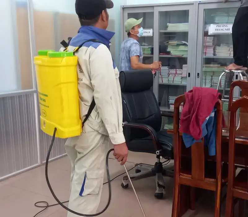 Diệt mối tại Bà Rịa - Vũng Tàu bằng phương pháp hóa sinh chuyên nghiệp