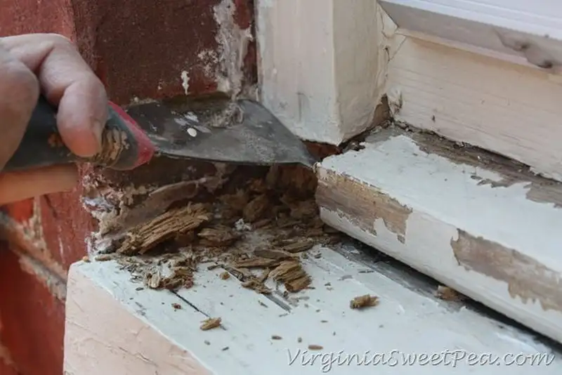 Người kiểm tra nhà phát hiện mối Người kiểm tra nhà phát hiện mối