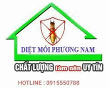 Logo cũ Phòng Trừ Mối Và Côn Trùng Phương Nam