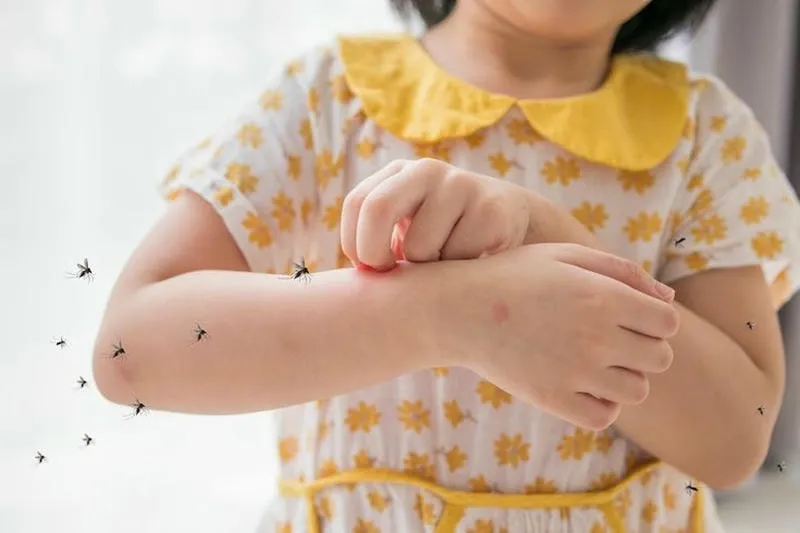 Muỗi truyền bệnh sốt xuất huyết nguy hiểm Muỗi truyền bệnh sốt xuất huyết nguy hiểm
