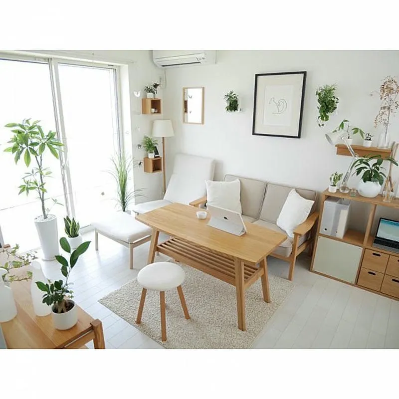 Không gian sống sạch muỗi sau dịch vụ phun thuốc Vũng Tàu Không gian sống sạch muỗi sau dịch vụ phun thuốc Vũng Tàu