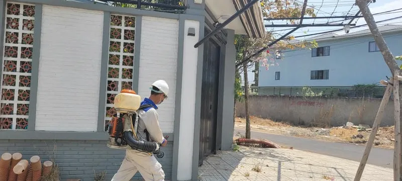 Dịch vụ phun thuốc diệt muỗi chuyên nghiệp tại Vũng Tàu