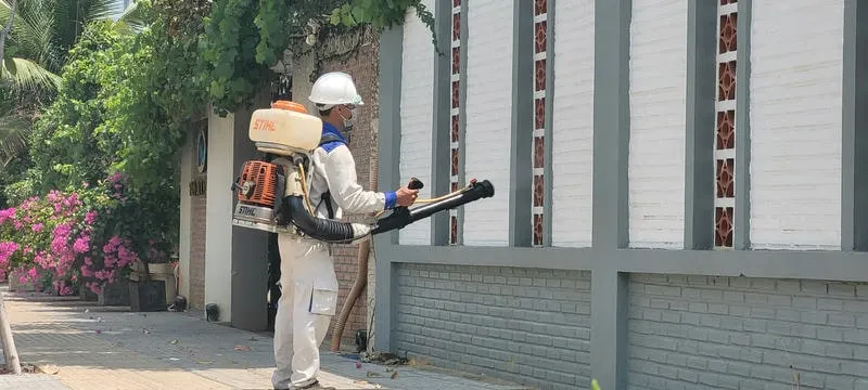 Dịch vụ phun thuốc diệt muỗi Vũng Tàu chuyên nghiệp