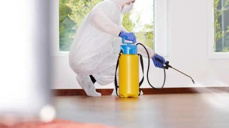 Phun chế phẩm sinh học trong diệt mối tại Bà Rịa - Vũng Tàu Phun chế phẩm sinh học trong diệt mối tại Bà Rịa - Vũng Tàu