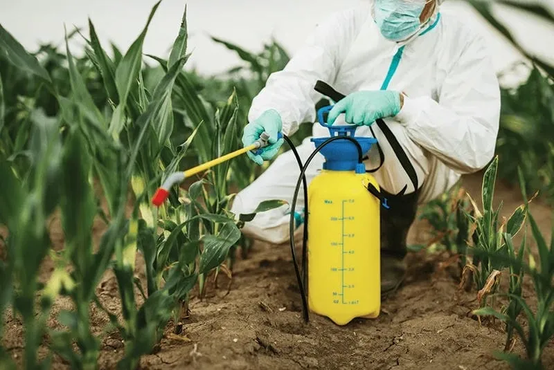 Diệt mối sinh học an toàn tại Đồng Nai Diệt mối sinh học an toàn tại Đồng Nai